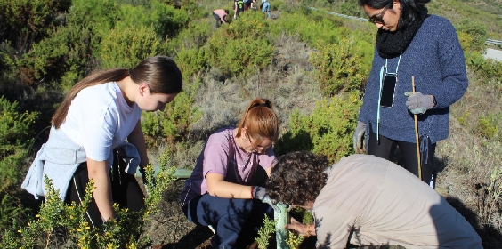 La organización WWF realiza una nueva actividad de repoblación en Mijas